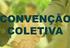 CONVENÇÃO COLETIVA DE TRABALHO 2015/2016 SECOR - SINCOMAVI SINCOMACO