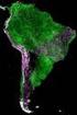 Aplicação das imagens do satélite meteorológico NOAA-AVHRR para o mapeamento da cobertura vegetal do estado de Minas Gerais