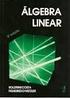 Sumário. 1 Introdução 2. 2 Tópicos em Álgebra Linear Matrizes Produto de Matrizes Matrizes Transpostas 5. 2.