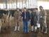 Determinantes de lucratividade em fazendas leiteiras de Minas Gerais