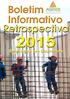 Boletim Informativo - Retrospectiva do Emprego em 2015