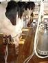Efeito da massagem do úbere ao final da ordenha no leite residual e na ocorrência de mastite em vacas leiteiras
