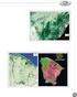 ANÁLISE DA EVOLUÇÃO TEMPORAL DO NDVI/NOAA EM ÁREA DE CANA-DE- AÇÚCAR E MATA ATLANTICA NA MATA NORTE DE PERNAMBUCO