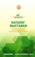 Возрастная группа: 6º ano, 5 º ano, 4 º ano Онлайн ресурсы: P e rgunt e a um mo nst ro