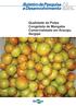 70 ISSN Dezembro, Qualidade da Polpa Congelada de Mangaba Comercializada em Aracaju, Sergipe