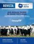 NOÇÕES DE ALIMENTAÇÃO DE NOVILHAS. Esta deve ser considerada a regra mais importante na alimentação destes animais.