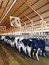 Indicadores do metabolismo energético no pós-parto de vacas leiteiras de alta produção e sua relação com a composição do leite 1