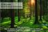 proteção florestal Proteção Florestal O que é uma floresta? Protecção Florestal Medidas a Implemetar para Proteger as Nossas Florestas