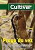 AVALIAÇÃO PRELIMINAR DE IMPACTO SOCIAL DE CULTIVAR DE MANDIOCA RESISTENTE À BACTERIOSE: O CASO DA FORMOSA NO ESTADO DA BAHIA