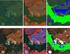 Segmentação de corpos d água em imagens multiespectrais e temporais usando watershed com marcadores automaticamente definidos