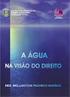 Comportamento da água precipitável durante evento extremo em Porto Alegre RS com o uso do modelo BRAMS