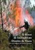 O RISCO DE INCÊNDIO NO DISTRITO DE VISEU. LEVANTAMENTO E INTEGRAÇÃO DAS ESTRUTURAS FLORESTAIS DO DISTRITO NUM SISTEMA DE INFORMAÇÃO GEOGRÁFICA