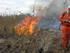 FOCOS DE INCÊNDIO E SUA RELAÇÃO COM OS FENÔMENOS EL NIÑO E LA NIÑA