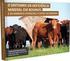 Suplemento de baixo consumo para vacas de corte não-gestantes 1. Low intake supplement for non-pregnant beef cows
