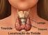 Abordagem da disfunção tiroideia subclínica