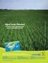 Estrutura de mercado do setor de sementes de arroz no Brasil