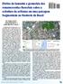 Efeitos do tamanho e geometria dos remanescentes florestais sobre a estrutura da avifauna em uma paisagem fragmentada no Nordeste do Brasil