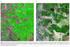 Identificação da cobertura de solo usando imagem Landsat da bacia do Formoso, MS.