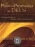 A TEOLOGIA DOS REFORMADORES PROTESTANTES TILLICH, Paul. História do Pensamento Cristão. Tradução de Jaci Maraschin, São Paulo: ASTE, P.