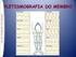 Investigação Hemodinâmica da Hipertensão Pulmonar Hemodynamic investigation of pulmonary hypertension