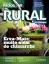 Análise da concentração produtiva mesorregional de leite no Estado de Minas Gerais