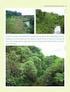 Vegetação e uso da Terra na Unidade de Planejamento e Gestão Rio Verde, Mato Grosso do Sul