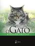 HIPERTENSÃO ARTERIAL SISTÊMICA EM GATOS. Federal de Goiás, Goiânia, Goiás, Brasil Federal de Goiás, Goiânia, Goiás, Brasil