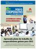Aprovado plano de trabalho do cooperativismo goiano para 2013