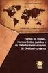 Tratados internacionais de direitos humanos no direito brasileiro: reflexões sobre uma possível regulamentação legislativa