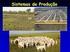 TERMINAÇÃO. Sistemas de produção de carne no Brasil Sistema de 2010 (x 1000) 2010 (%) Sistemas de Produção 11/03/2015