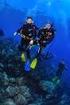 PADI DISCOVER SCUBA DIVING BATISMO