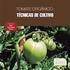 Produção de tomate orgânico sob diferentes sistemas e níveis de irrigação.