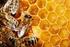 Produção de geléia real por abelhas Apis mellifera italianas, africanizadas e descendentes de seus cruzamentos