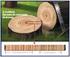 Mensurações dos elementos do xilema em madeira da região amazônica 1