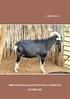 Manejo pré-abate de ovelhas de descarte: perdas de peso corporal, qualidade da carne e comportamento animal