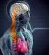 Acidente Vascular Cerebral Cardioembólico: Fibrilhação Auricular e Terapêutica Antitrombótica