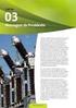 RELATÓRIO ANUAL NOVA VENTOS DO PARAZINHO ENERGIAS RENOVÁVEIS S.A 1ª Emissão de Debêntures Simples. Abril 2012