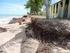 MORFODINÂMICA DA PRAIA DA BARRA DO CEARÁ, MUNICÍPIO DE FORTALEZA, ESTADO DO CEARÁ, BRASIL