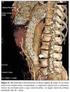 Prevalência dos métodos de diagnóstico nos aneurismas de aorta abdominal* Prevalence between methods of diagnosis in abdominal aortic aneurysms