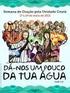 Entre a unidade e a diversidade: a construção das nações na América Latina