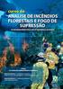 Comportamento Extremo do Fogo: Interpretação e Segurança. Domingos Xavier Viegas ADAI/CEIF- Univ. Coimbra