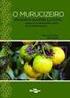 COMPOSTOS BIOATIVOS EM GENÓTIPOS DE BACABA- DE-LEQUE (Oenocarpus distichus Mart) NATIVAS DA AMAZÔNIA