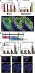 The effect of maturators on technological characterists of sugar cane on soils with and without water stress