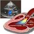 DETECÇÃO DE HIPERTROFIA VENTRICULAR ESQUERDA FISIOLÓGICA EM ATLETAS JUDOCAS ATRAVÉS DO ECO-DOPPLER.