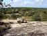 Estrutura da Vegetação Caducifólia Espinhosa (Caatinga) de uma área do sertão central de Pernambuco