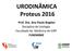 URODINÂMICA Proteus Prof. Dra. Ana Paula Bogdan Disciplina de Urologia Faculdade de Medicina de SJRP FUNFARME