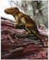 A new prozostrodontian cynodont (Therapsida) from the Late Triassic Riograndia Assemblage Zone (Santa Maria Supersequence) of Southern Brazil