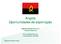 Angola Oportunidades de exportação