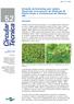 Extração de Nutrientes pelo Leiteiro (Euphorbia heterophylla) em Sistemas de Plantio Direto e Convencional em Manaus, AM