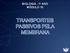 BIOLOGIA - 1 o ANO MÓDULO 10 TRANSPORTES PASSIVOS PELA MEMBRANA